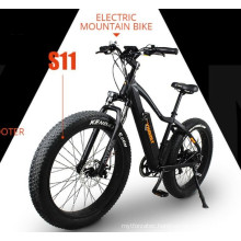 dynavolt 26 inch 250W fat tire electric mountainbike